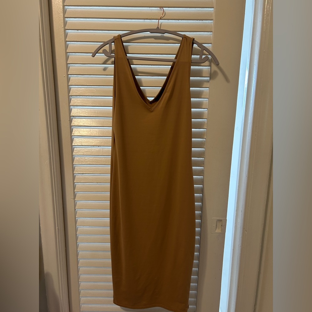 Zara Tan dress